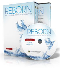 Reborn (Home Edition) - DVD set